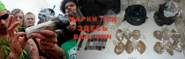 MESCALINE Покров